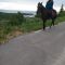 On Tourist farm with horses - Pogelšek, Ankaran - Service, offer