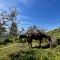 Tourist farm with horses Pogelšek, Ankaran - Služby, nabídnout