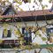 Vineyard cottage Zdolšek, Šmarje pri Jelšah - Casa  (4+1) -  