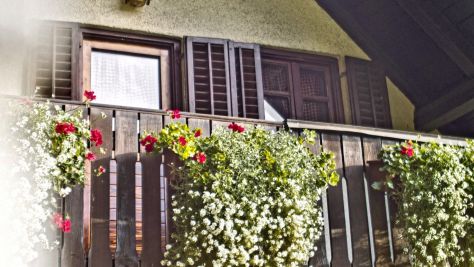 Casa vacanze Otočec 19057, Otočec - Esterno