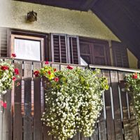 Casa vacanze Otočec 19057, Otočec - Esterno