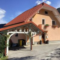 Apartmány Železniki 21095, Železniki -  