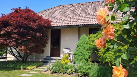 Apartments Bistrica ob Sotli 21691, Bistrica ob Sotli - Property