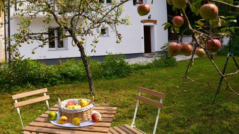 Apartmaji Bled 22296, Bled - Terasa