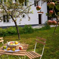 Apartmaji Bled 22296, Bled - Terasa
