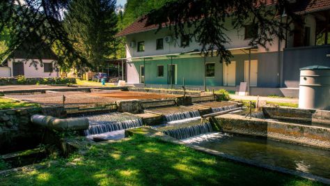 Dom Ruše 22678, Ruše - Objekt