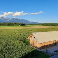 Ferienwohnungen KRANJ 22683, Kranj -  