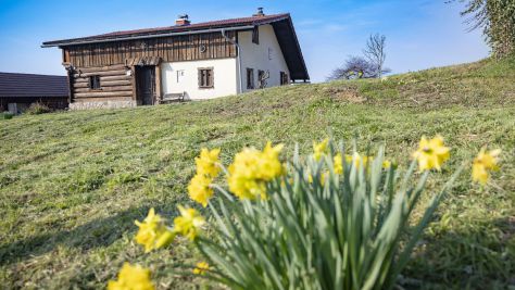 Dom Šentrupert 22817, Šentrupert - &nbsp;