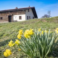 Kuća za odmor Šentrupert 22817, Šentrupert - &nbsp;