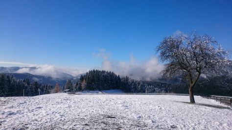 Turistická farma Ramšak - Zreško Pohorje, Rogla, Zreče - Okolí