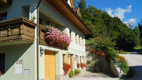 Appartamenti Kamnik 9808, Kamnik - &nbsp;